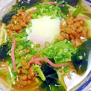 温卵納豆入り野菜冷ぶっかけうどん